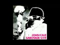 John Cale -  Walkin' The Dog