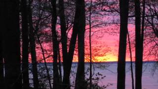 Me and the Eagle by Steve Earle