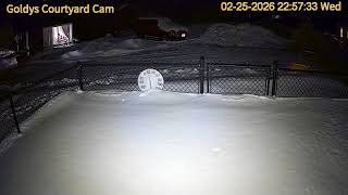 Goldy's Farm Animal Sanctuary 