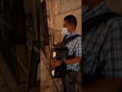 Blind Man Plays Beautiful Accordion  🇲🇽