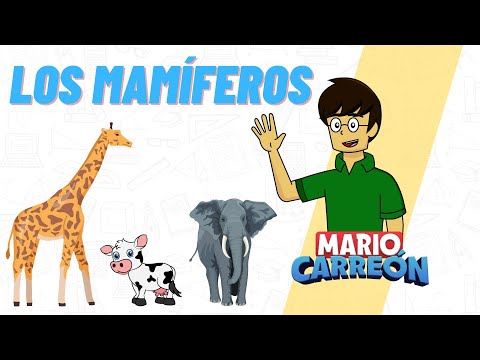 Los Mamíferos