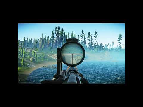 Perfect setup for shooter born (woods)