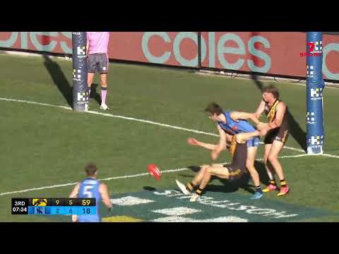 Grand Final Hostplus SANFL Snapshot - Sturt's James Mathews soccers out of mid air