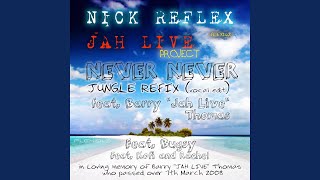 NEVER NEVER (FLEX162R) (2024 jungle mix 2026 remaster)