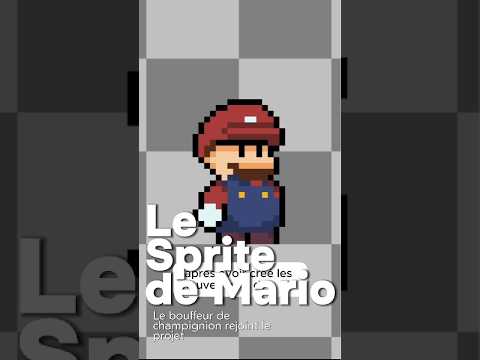 Mario rejoint le projet !