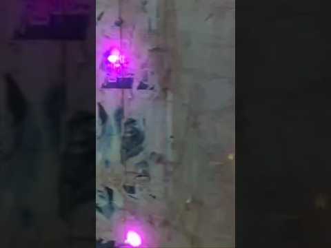 Dam Dam bajila #navratrispecial #song #love Ashima panda