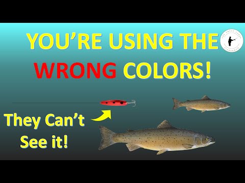 Selecting the Right Colors for Salmon Fishing