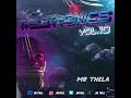 Mr Thela Theletronics Volume 10