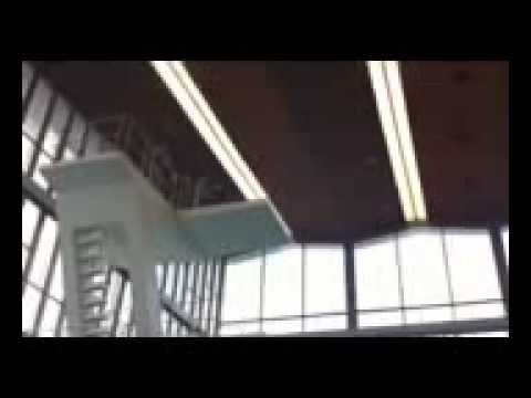 Robyn Birch 3.5 from 10m