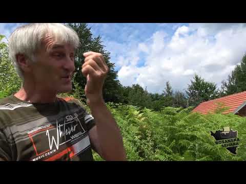 Ja živim u zraku. Nisam došao do obećane zemlje a ni voljene žene