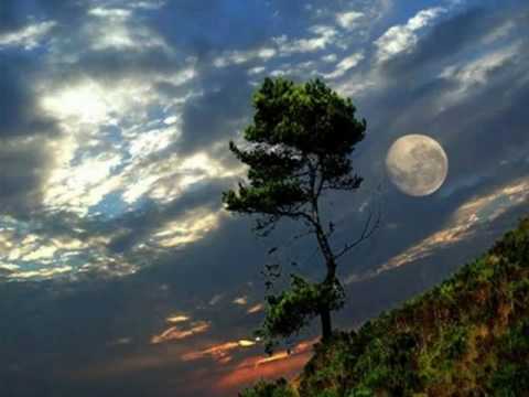 My Choice 451 - Beethoven: Moonlight Sonata