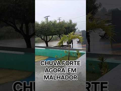 CHUVA FORTE AGORA EM MALHADOR SERGIPE #shorts #viral #video #chuva