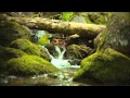 Ludovico Einaudi - Experience 