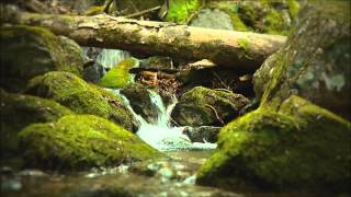 Ludovico Einaudi - Experience