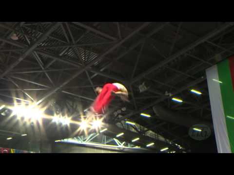 Diogo GANCHINHO (POR) -- 2013 Trampoline Worlds, Qualifications