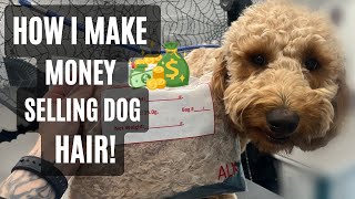 How I make money selling dog hair!