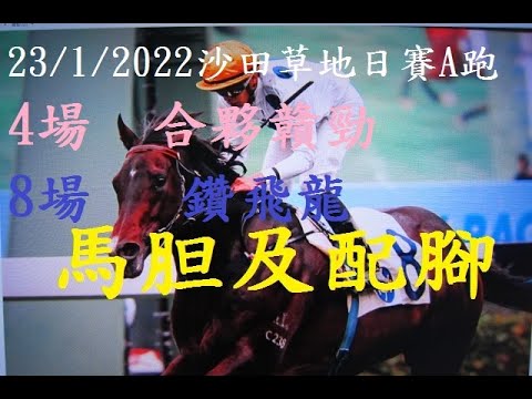 [香港賽馬貼士]:23/1/2022  提供第4場及第8場連贏,三重彩及四重彩投注心水推介