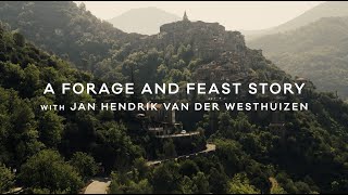 Video of Forage And Feast Green Olives 380g Video of Forage And Feast Green Olives 380g
