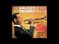 15 Golden Hits - Ray Anthony Young Man with the Horn
