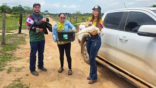 FOMOS BUSCAR 13 NOVAS CRIAÇÕES PARA MINHA SOGRA