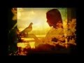 Lady & Bird / La Ballade Of Lady And Bird 