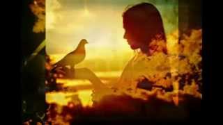 Lady &amp; Bird / La  Ballade  Of  Lady  And  Bird