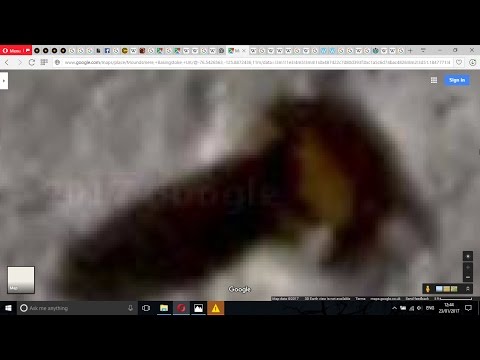 This Alien Looking Creature Found In Antarctica