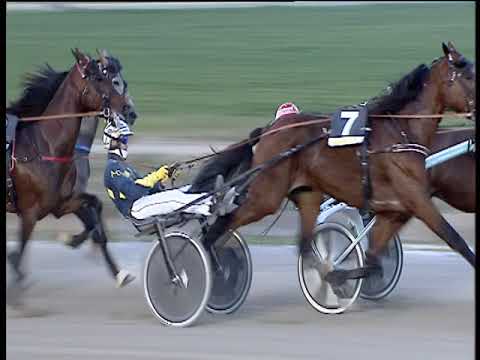 Trotto 08/03/2019 - 6ª corsa