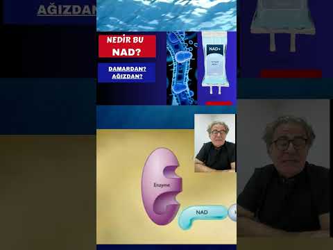 NAD Serum Takviyeleri ve Enerji Üretimi: Mitokondri Sağlığı & Hücresel Yaşlanma