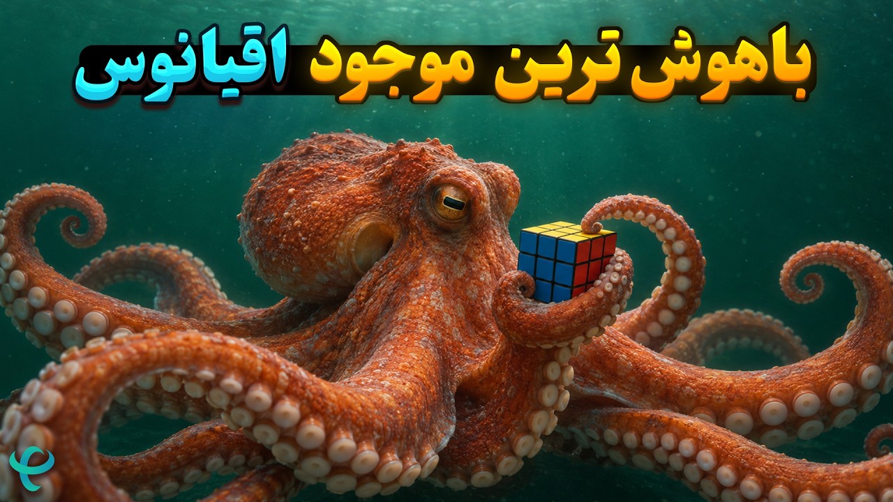 اختاپوس؛ موجودی که مغزش تو بازوهاشه!