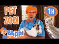 Blippi Visits A Pet Zoo In Brazil 1 HOUR OF BLIPPI TOYS Animal Videos For Kids