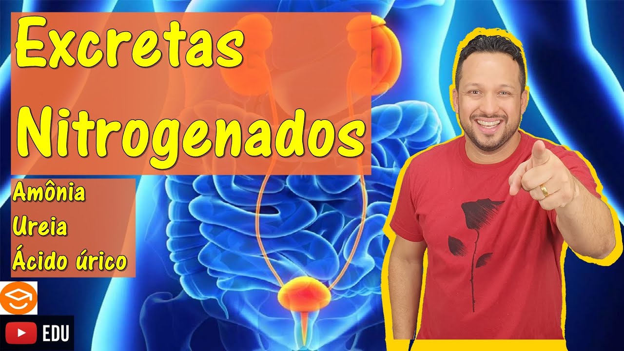 Excretas Nitrogenados - Amônia, Ureia e Ácido úrico - Sistemas Excretor - Fisiologia Humana