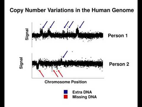structural variation in the human genome michael snyder march 2 2010