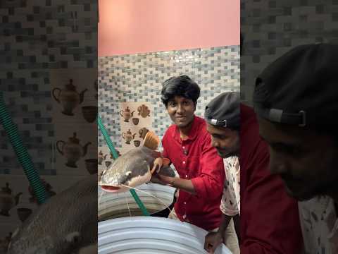 ஆத்தாடி இவ்ளோ பெரிய😲 fish💀-ah ‼️#shorts