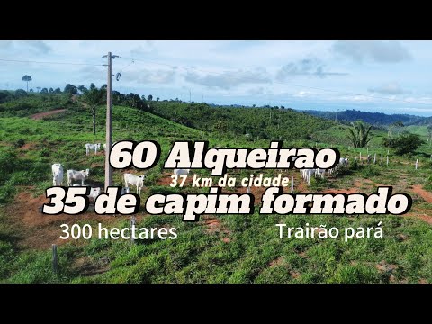 Baixou o preço 300 hectares na região de trairão pá.