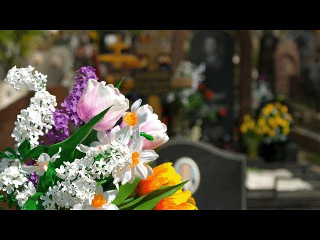 Обзор цен — готовимся к Радонице