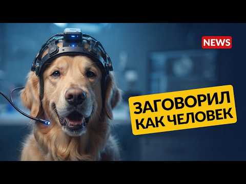 Превью видео на YouTube — нажмите, чтобы воспроизвести
