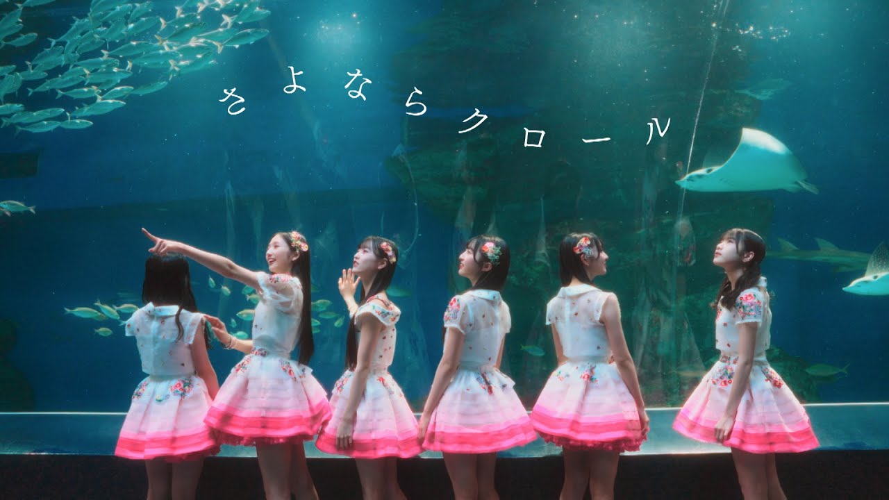 【AKB48×アクアパーク品川】『さよならクロール』MV