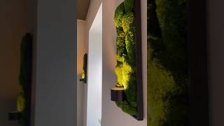 DIY Moss Sconces (Peel &amp; Stick)