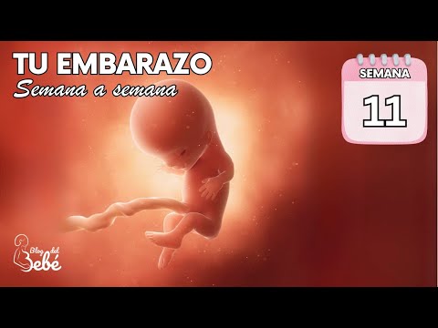 ❤️ Week 11 of Pregnancy 🤰 Symptoms, Tips, and Baby Development | Pregnancy Week by Week