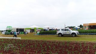 Miniatura do vídeo