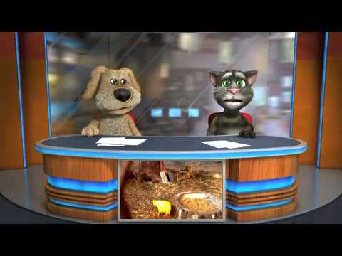 Talking tomek i jego koega