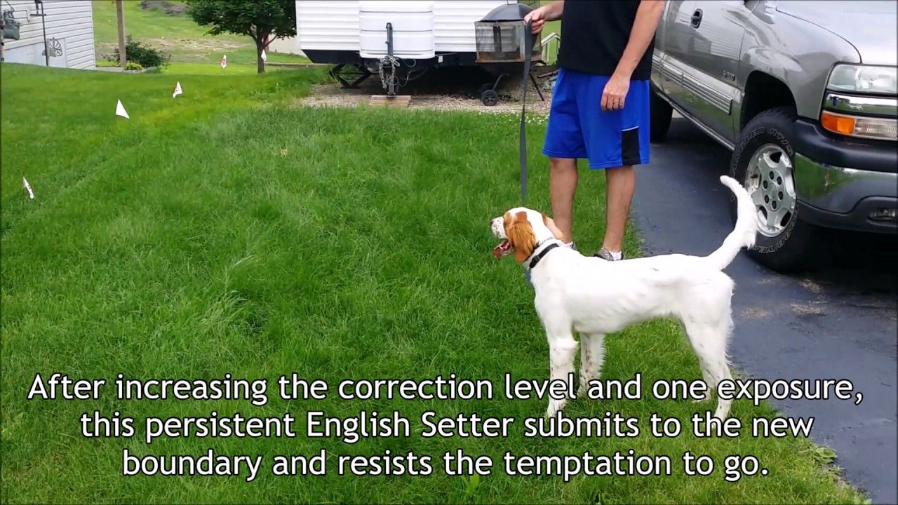 One correction level increase makes a difference - Hidden Fence of MN