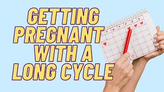 Can You Get Pregnant W/ A Longer Menstrual Cycle?