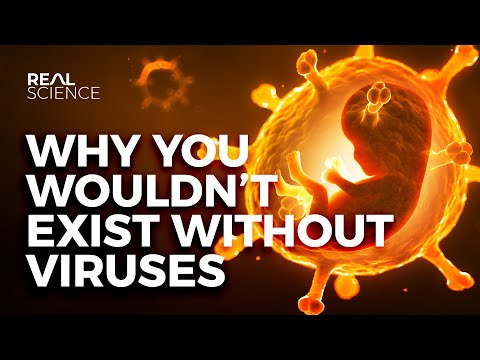 為什麼說沒有病毒就沒有人類？ (Why You Wouldn't Exist Without Viruses)