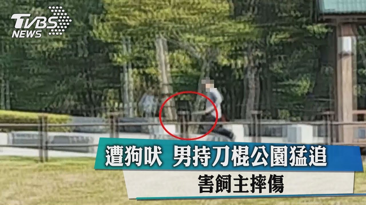 遭狗吠?男持刀棍公園猛追 害狗主人摔傷