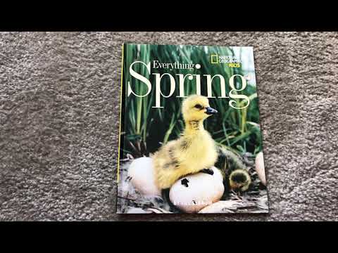 Everything Spring By Jill Esbaum
