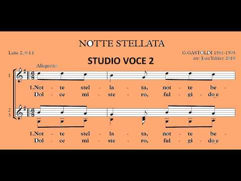 Notte Stellata, G. Gastoldi studio voce 2
