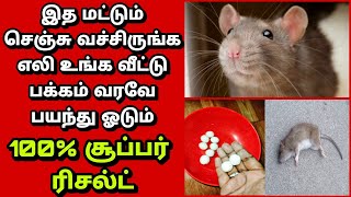 இந்த ஒரு பொருள் போதும் உங்க வீட்டு பக்கமே வராமல் இருக்க/rat killer/Rat killing tips| Fathu