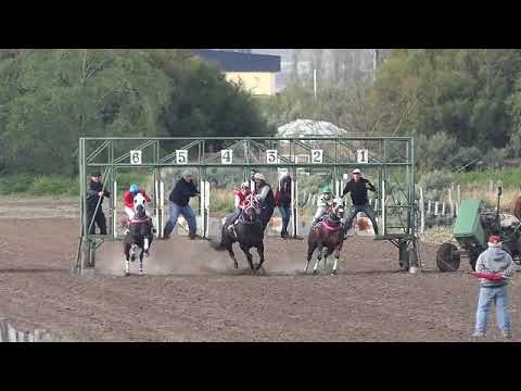 DOLAVON  14° ATR PICANTE     DON CARLOS